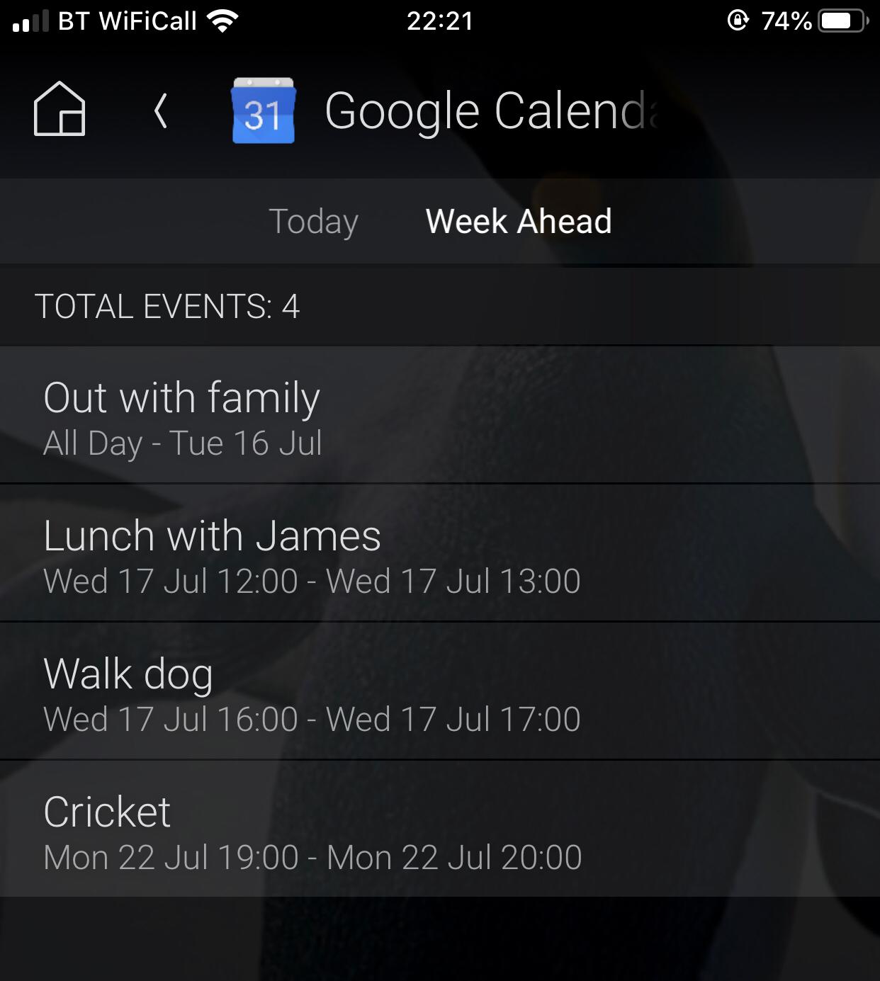 Google-Calendar-Week-Ahead-Example.jpeg?1679038333151
